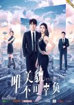 Only Beautiful chinese drama review