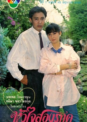 Hua Jai Song Park (1987) poster