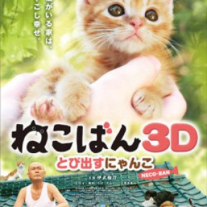 Neco-Ban 3D Tobidasu Nyanko (2011)