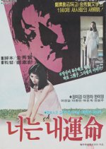 You Are My Destiny Korean Movie(1980) photo