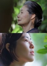 A Garden of Camellias Japanese Movie photo