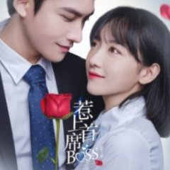 Fall in Love with My Trouble Season 2 Chinese Drama photo