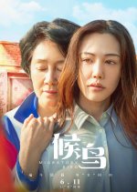 Migratory Birds Chinese Movie photo