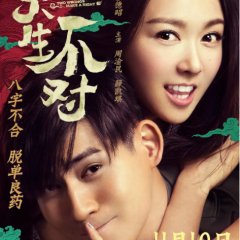 Two Wrongs Make A Right Chinese Movie photo