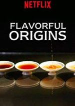 Flavorful Origins: Chaoshan Chinese TV Program photo