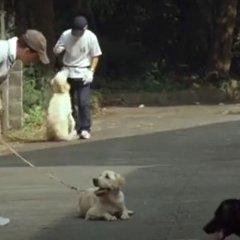 Quill Japanese Movie photo