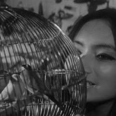 Branded to Kill Japanese Movie photo