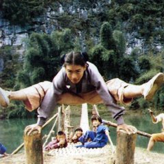 Shaolin Temple 2: Kids from Shaolin Hong Kong Movie photo