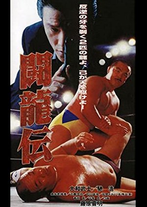 Fighting Dragon Story (1995) poster