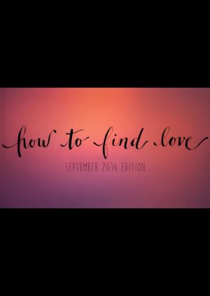 How to Find Love (2016) poster