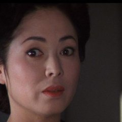 The Makioka Sisters Japanese Movie(1983) photo