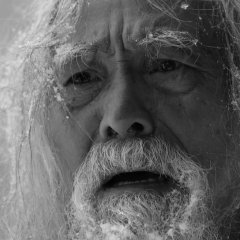 Seven Days Chinese Movie(2016) photo