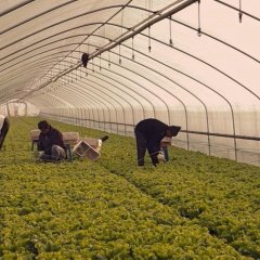 Scenery Korean Movie(2013) photo