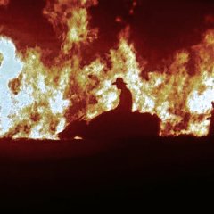 Oro Plata Mata Philippines Movie photo