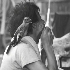 She and He Japanese Movie photo