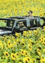 The Adventurers Hong Kong Movie photo