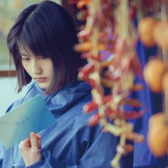 Little Forest: Summer & Autumn (2014) photo