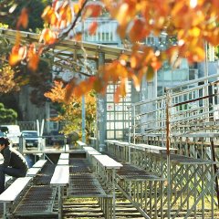 Innocent Thing Korean Movie photo