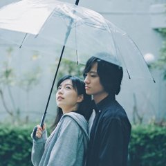 Grown-ups Japanese Movie photo