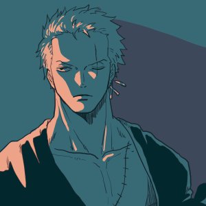 Zoro13