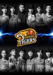 Handsome Tigers korean drama review