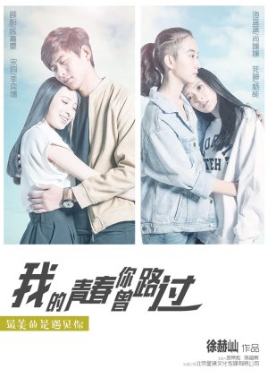 Wo De Qing Chun Ni Ceng Lu Guo (2017) poster