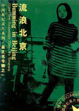Bumming in Beijing: The Last Dreamers (1990) poster