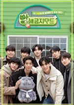 Do Not Disturb+ SF9 Korean TV Program photo