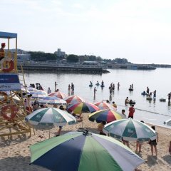 Hot Blooded Korean Movie photo