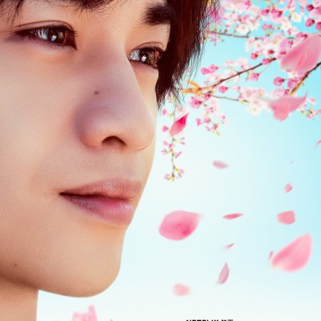 My Lover Like Cherry Blossoms (2022)