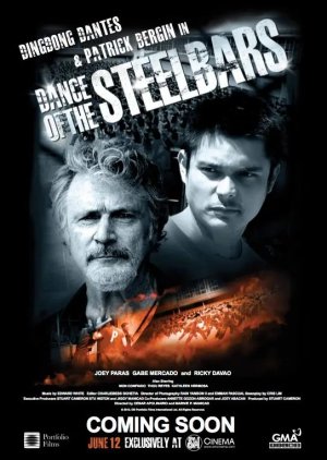 Dance of the Steel Bars (2013) poster