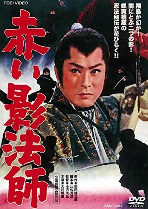 Revenger in Shadow (1961) poster