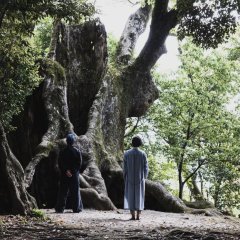 Midori no Zawameki Japanese Movie(2023) photo