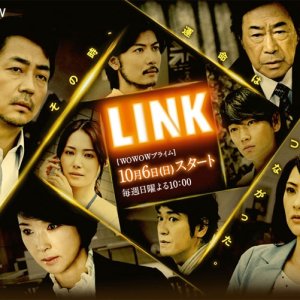 LINK (2013)