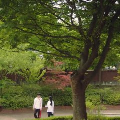 All That We Loved Korean Drama photo