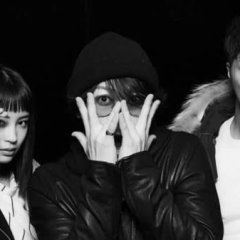 The Phantom Thief Yamaneko Japanese Drama photo