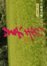 Innovative Story: Mei Hsiu Taiwanese Drama photo