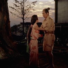 Samurai I: Musashi Miyamoto Japanese Movie photo