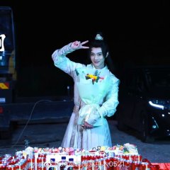 The Missing Snowflakes () photo