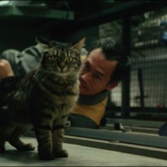 Cats on Park Avenue Japanese Movie photo