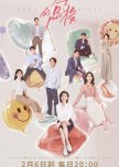 Lady's Character chinese drama review