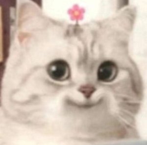 maribubs