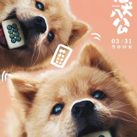 Hachiko (2023)