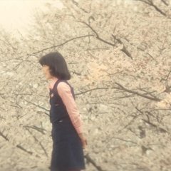 A Tale of Sorrow and Sadness Japanese Movie photo