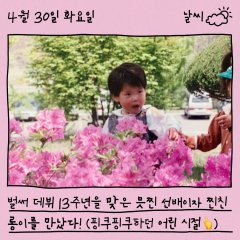 Self-on Kode Korean TV Program photo