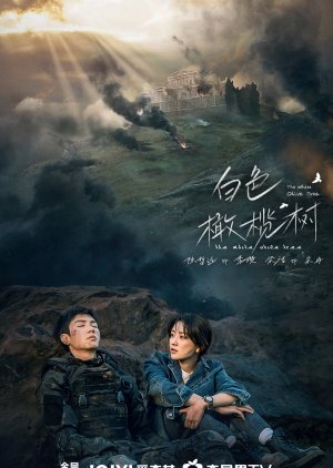 Bai Se Gan Lan Shu (2024) poster