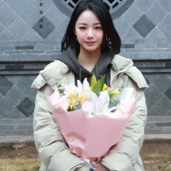 Fall in Love Chinese Drama(2025) photo