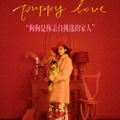 Puppy Love Chinese Movie(2023) photo