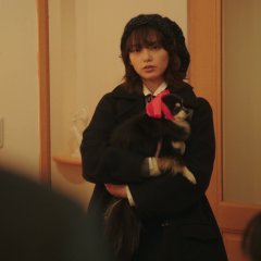 My Lawyer Is Not So Easy Japanese Drama photo