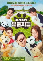 Our Neighborhood Furballs Korean TV Program photo